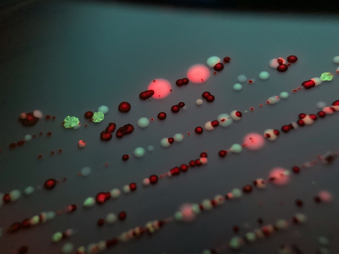 a group of red and green objects on a table