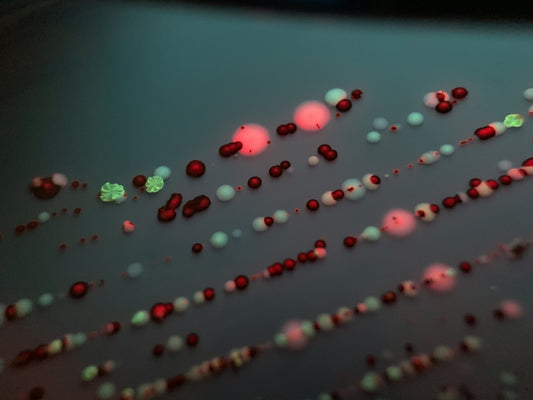 a group of red and green objects on a table
